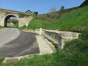 Fontaine-abreuvoir, route de Molay