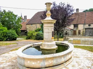 Fountain with circular basin and column (© JE)