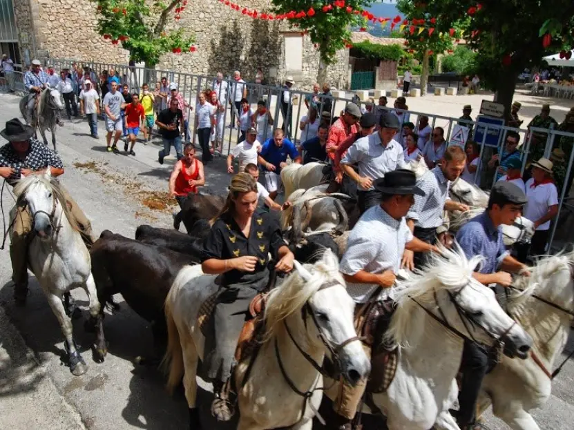 La Roque-d'Anthéron - Fiesta de la Cereza cada año en junio