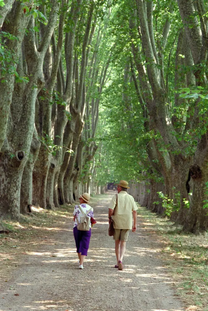 La Roque-d'Anthéron - Parc du château de Florans - Ouvert uniquement aux festivaliers durant le Festival
