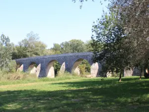 The bridge