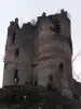 Castle of Roumégous - Monument in La Salvetat-Peyralès