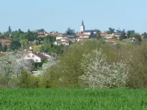 La Tour-de-Salvagny, the countryside just outside of Lyon