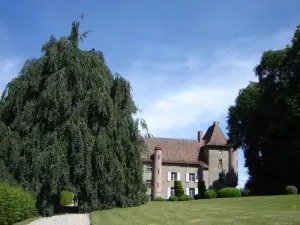 Château de Tournin