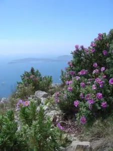 Wanderung La Turbie und tauchen Sie ein in das Meer!