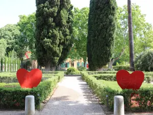 Boxwood Parterre