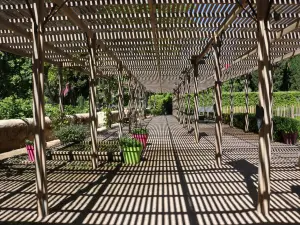 De pergola