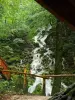 Gorges du Pont du Diable - Site naturel à La Vernaz