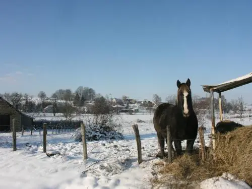 La Vernotte - Les Sept Fontaines, en hiver