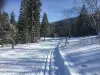 Ski Resort Lac des Rouges Truites - Leisure centre in Lac-des-Rouges-Truites