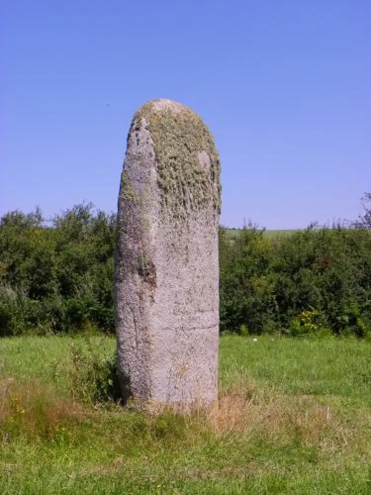 Photos Menhir de PeyroLebado Monument à Lacaune