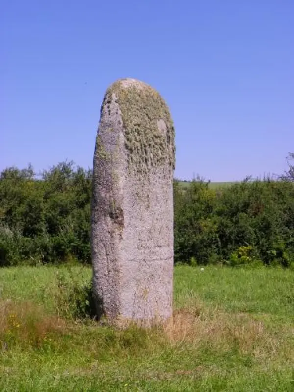 Menhir di Peyro-Lebado - Monumento a Lacaune