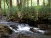 森のLoubatière - 自然遺産のLacombe