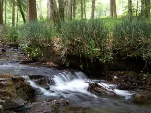 The silence in the Black Mountain