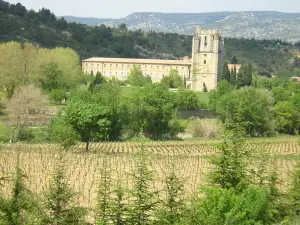 Abbaye de Lagrasse (© Frantz)