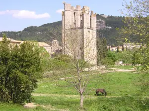 Village de Lagrasse (© Frantz)