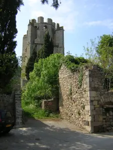 Lagrasse (© Frantz)