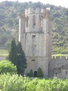 Abbaye de Lagrasse (© Frantz)