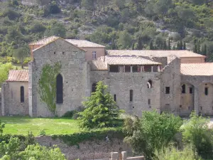 Abbaye de Lagrasse (© Frantz)