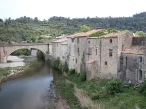 Brücke über den Orbieu