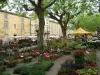 flower market in May