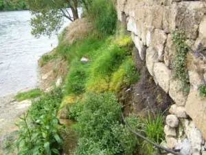 Fontaine throwing in Dordogne