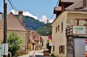 The village