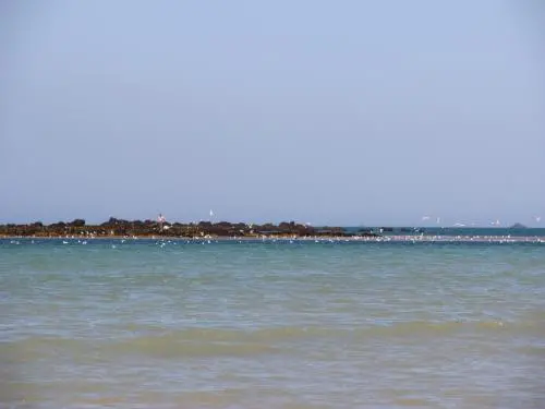 海滩Port Morvan - 娱乐场所在Lamballe-Armor
