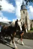 carruaje tirado por caballos en el centro de la ciudad (© Franck Hamon)