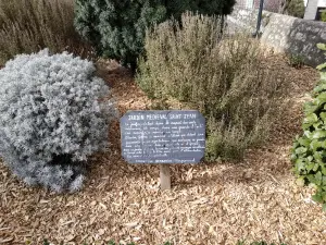 jardín medieval - Lamballe