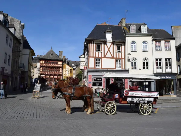 Lamballe-Armor - Führer für Tourismus, Urlaub & Wochenende in den Côtes-d'Armor