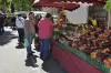 Friday Provençal market