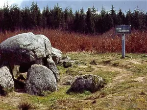 PierreCourcoulée的Dolmen（©J.E）