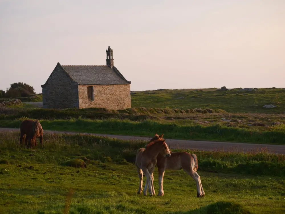 Photos Pointe de Landunvez Site naturel à Landunvez