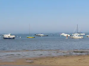 Vista del bacino di Arcachon dalla spiaggia di Cassy