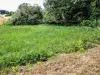 Marsh of the ferruginous spring, near the hamlet of La Goutte (© JE)