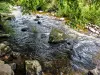 La Weiss (aguas abajo) en Hachimette (© JE)