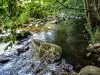 La Weiss (aguas arriba), en Hachimette (© JE)