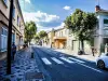 Avenue de Provence en Laragne-Montéglin (© JE)