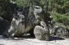Larchant - Rocher de l'Eléphant
