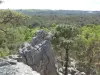 Larchant - Panorama depuis la Dame Jouanne