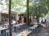 Larchant - Auberge dans la forêt de la Commanderie