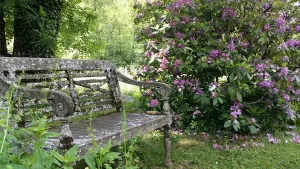 El jardín de rosas de Berty