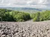 Lassouts - Führer für Tourismus, Urlaub & Wochenende im Aveyron