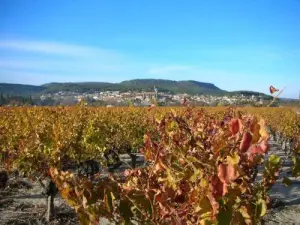 Laudun e i suoi vigneti della Côtes du Rhône meridionale