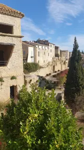 Les terrasses vues du château