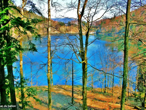 Meer van Ballon - Natuurgebied in Lautenbachzell