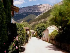 The entrance of the village