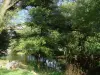 風景