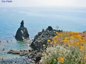 阿格德角？一座古老的火山！